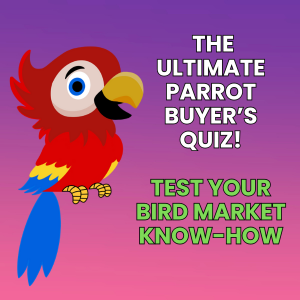 How well do you know parrots