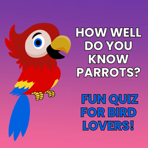 How Well Do You Know Parrots — Fun Quiz for Bird Lovers!