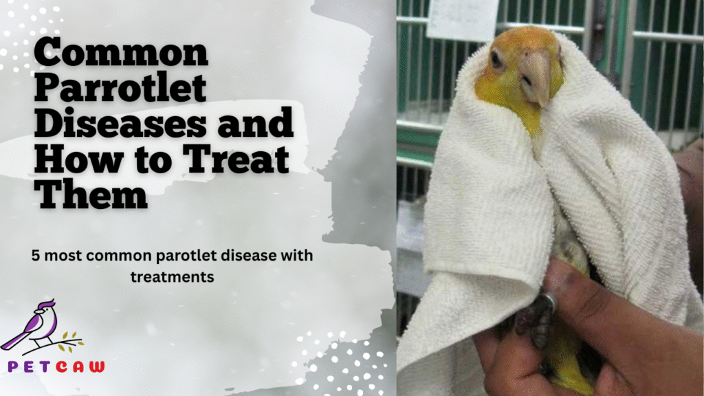 Parrotlet diseases