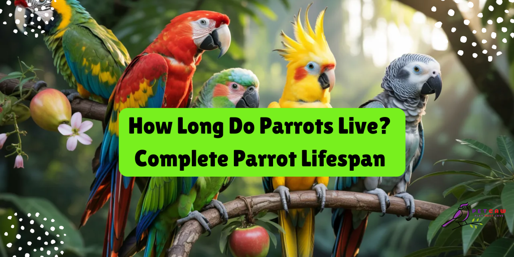 parrots-lifespan