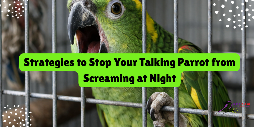 strategies-to-stop-your-talking-parrot-from-screaming-at-night