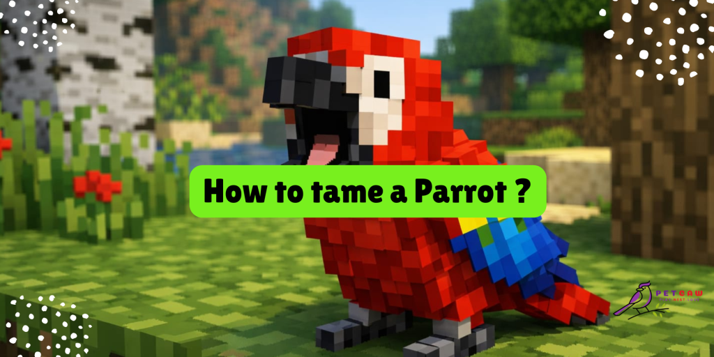 how to tame a parrot