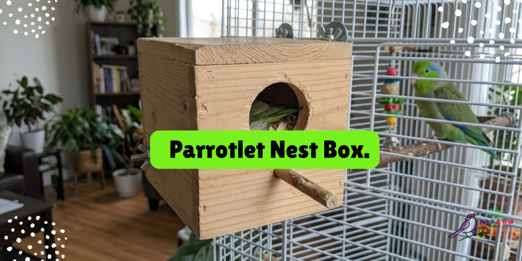 parrotlet nest box