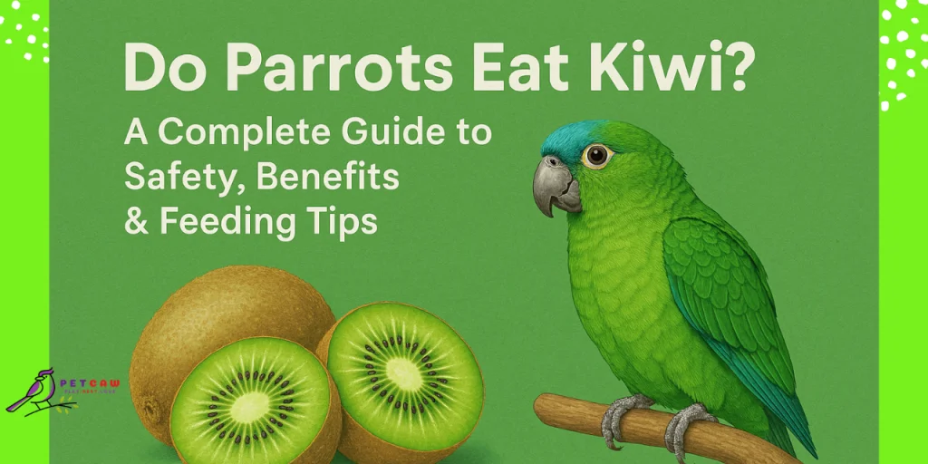 do parrots eat kiwi