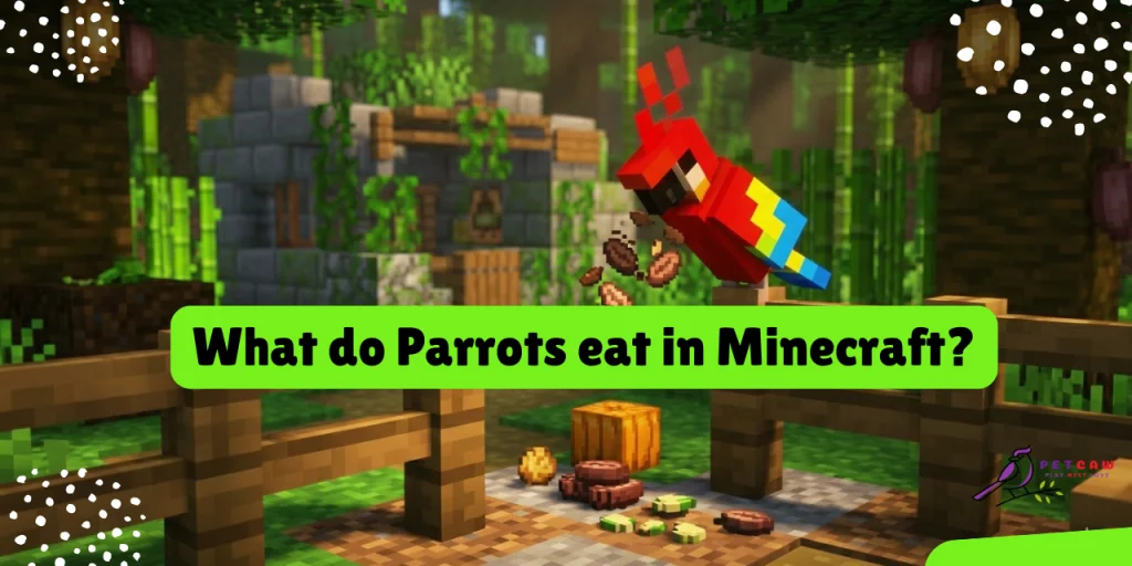 what do parrots eat in minecraft