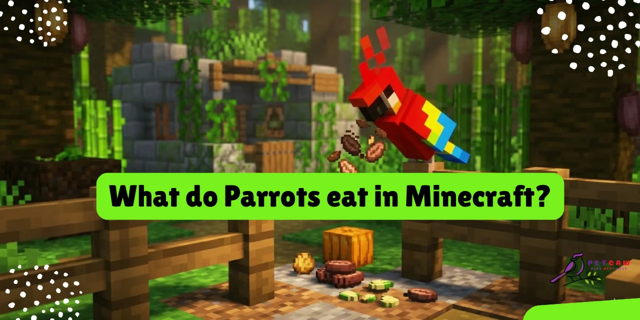 what do parrots eat in minecraft
